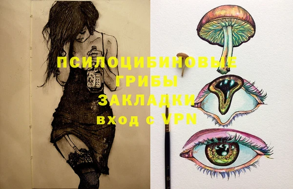 дмт Алзамай