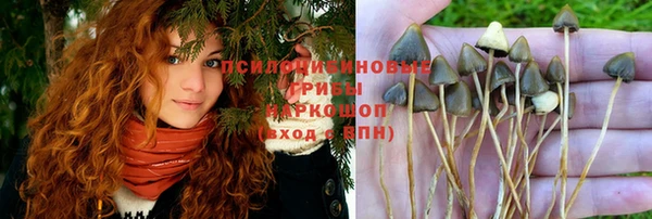 первитин Алексин