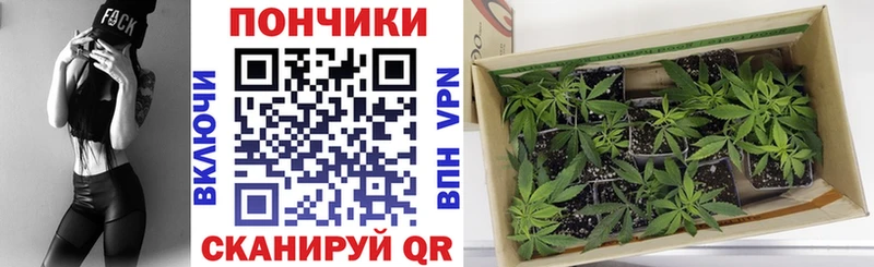 Марихуана ГИДРОПОН  ссылка на мегу вход  Берёзовский 